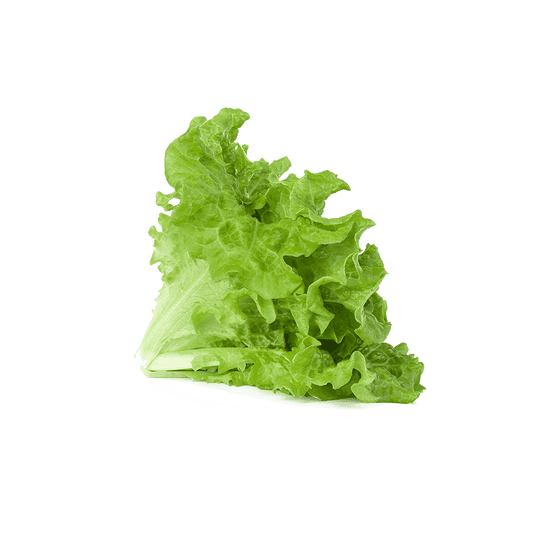 Green Lettuce