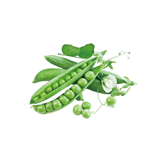 Pea