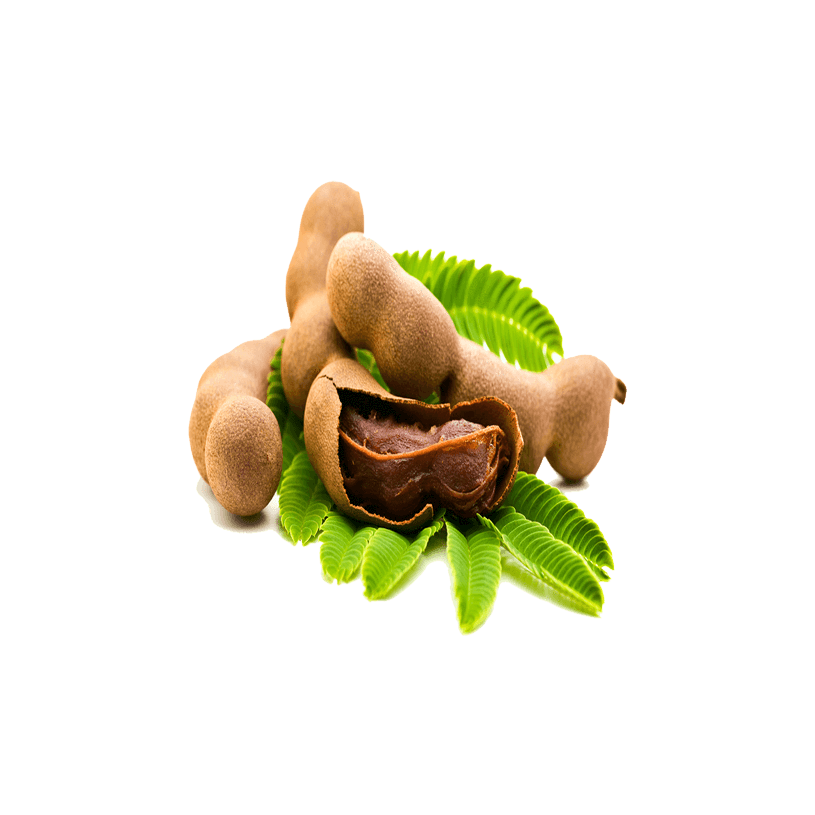 Tamarind fruit