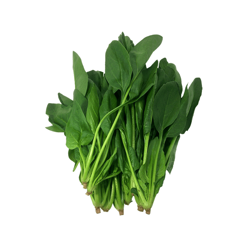 Green Cabbage