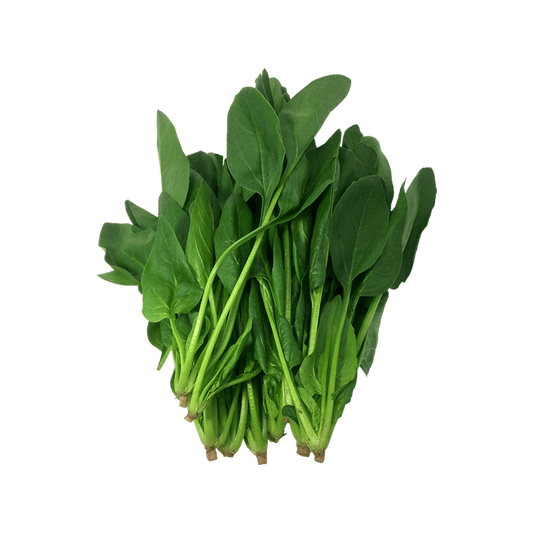 Green Cabbage